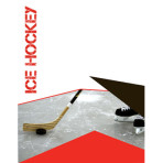 Hockey Stick Puck
